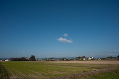 田んぼと青空３