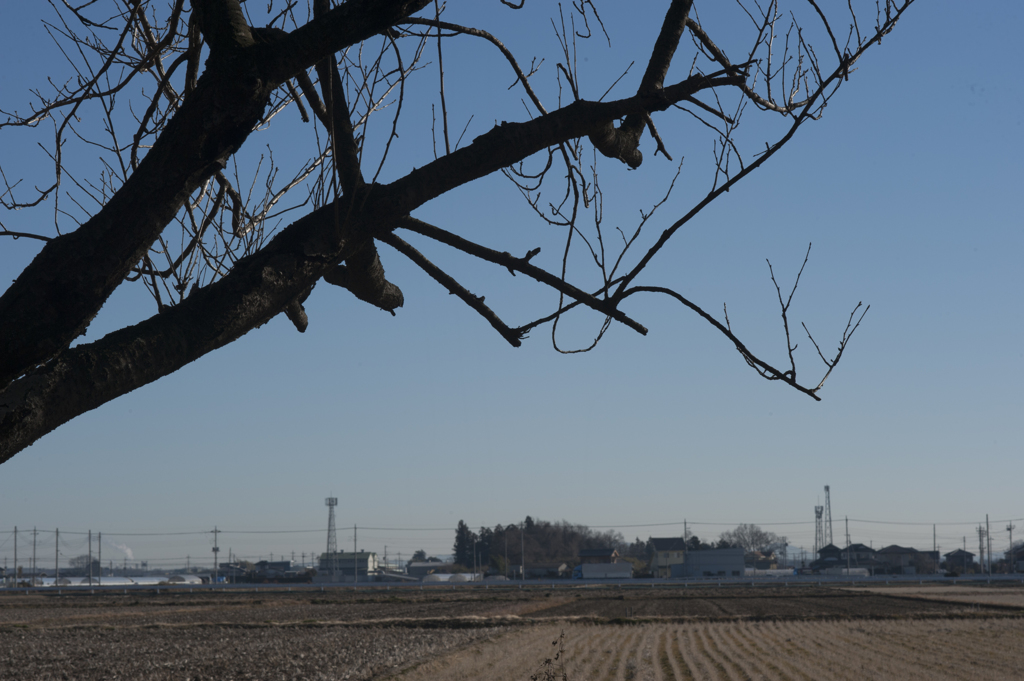 田園風景