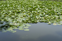 公園５