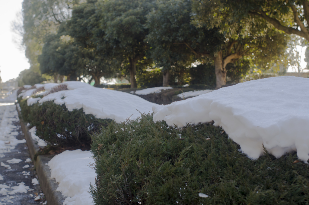 残雪風景２０