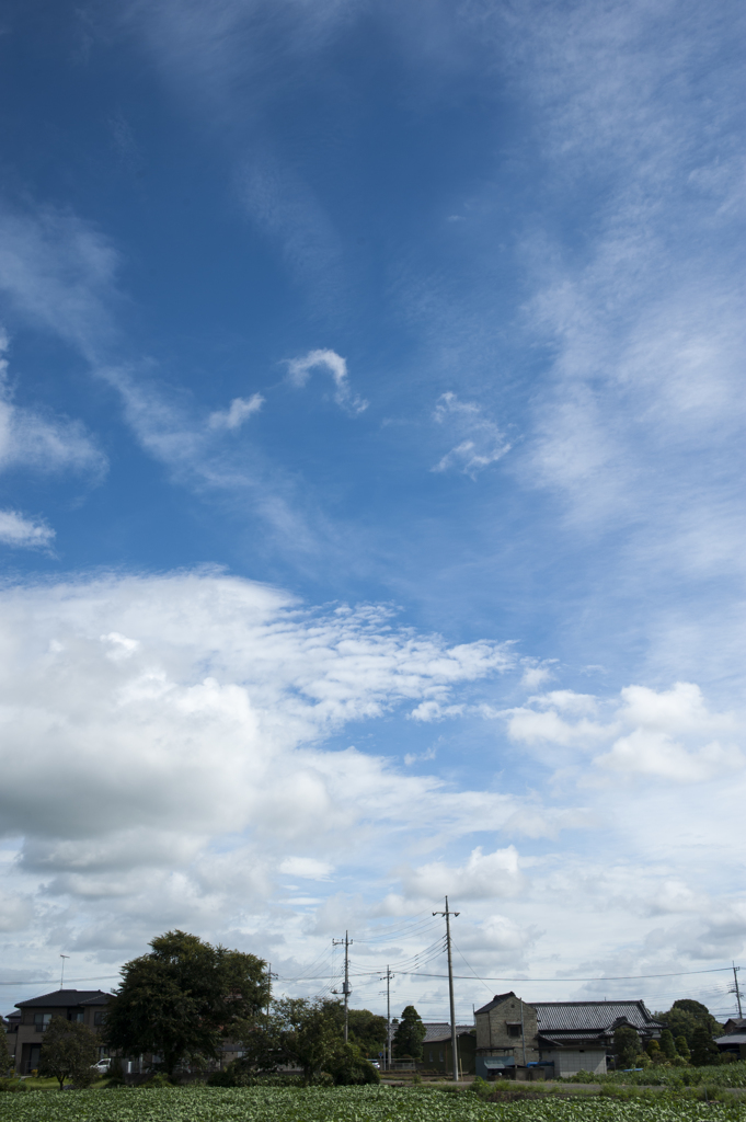 雲１６