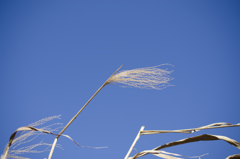青空１