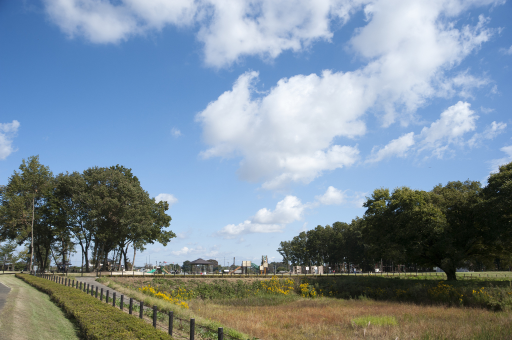 風景５