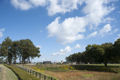 風景５