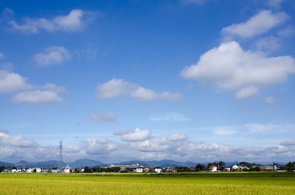 風景２０