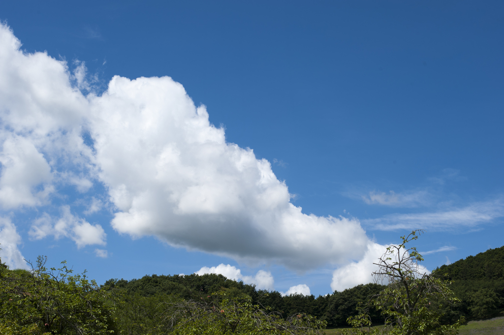 空２