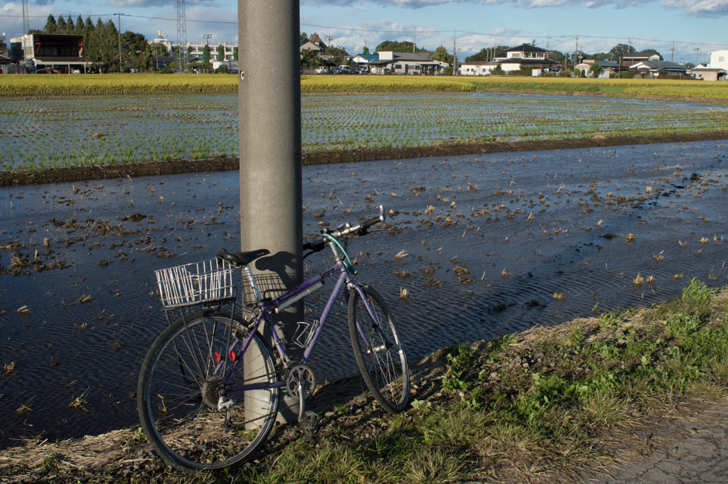 自転車と写真撮り