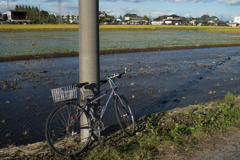 自転車と写真撮り