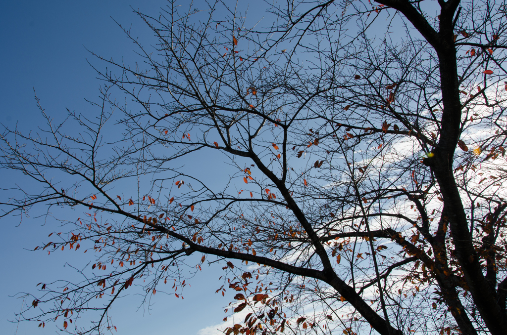 青空