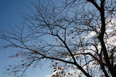 青空