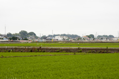 風景３
