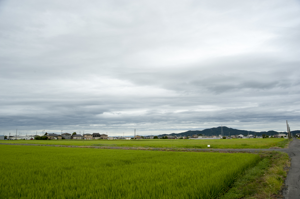 空９