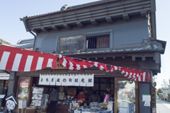 とちぎ秋まつり１９