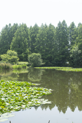 公園４