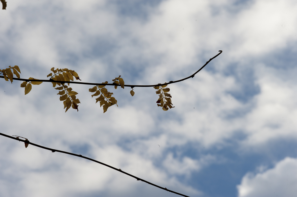 青空