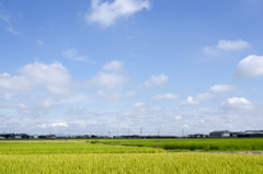 風景３