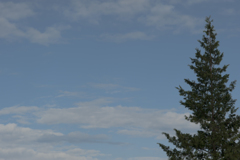 空１