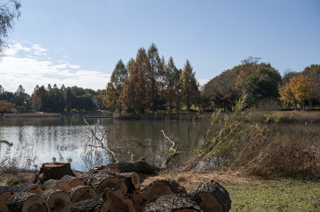 風景１