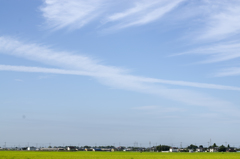 風景８