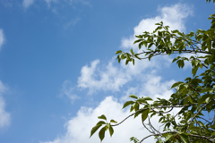 空４