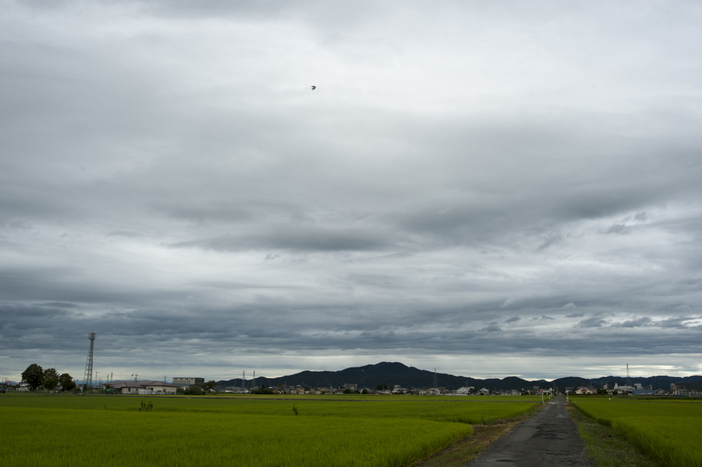 空４