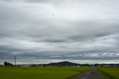 空４