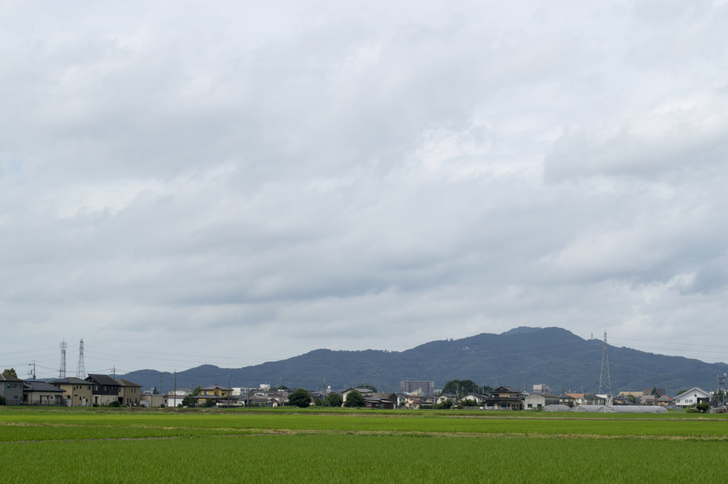 田んぼ１０
