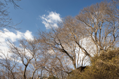 青空３