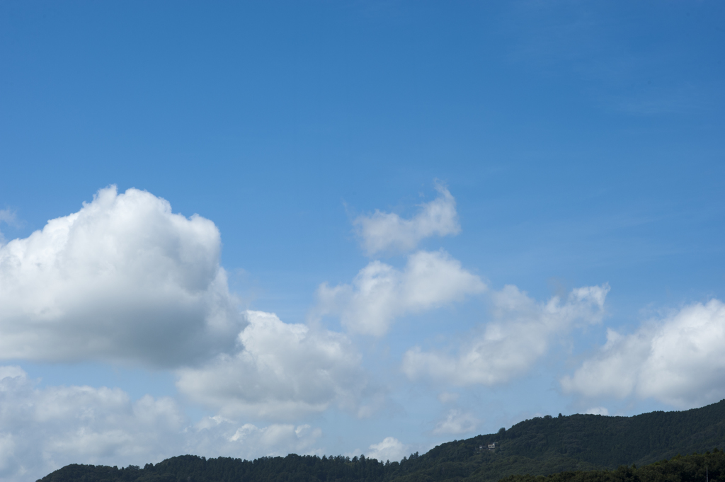 風景４