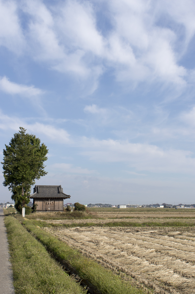 風景３