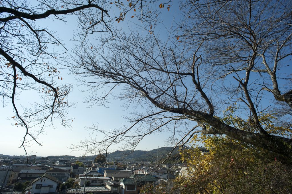 風景１３
