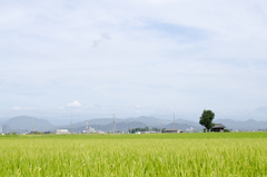 風景３
