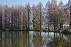 穏やかな風景１