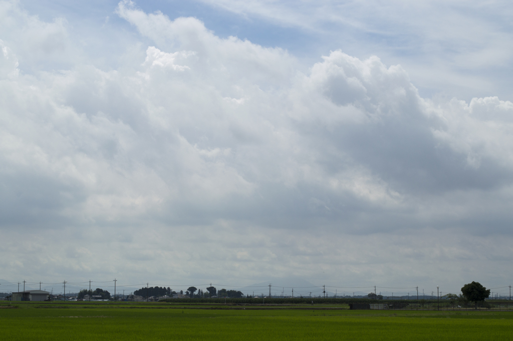 田んぼ３