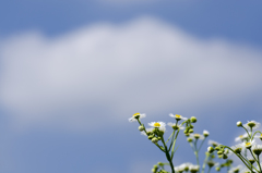 空１