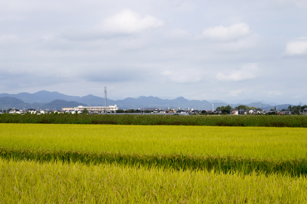 風景９