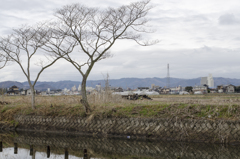 風景１