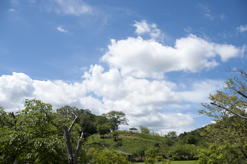 空４