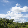空４