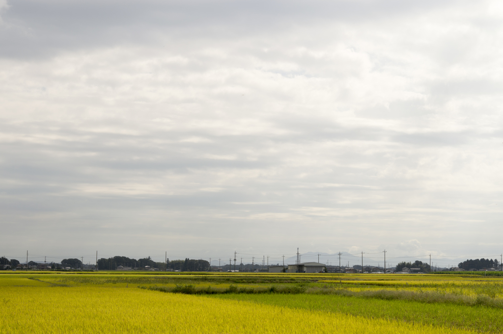 風景２