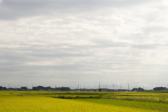 風景２