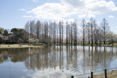 風景１