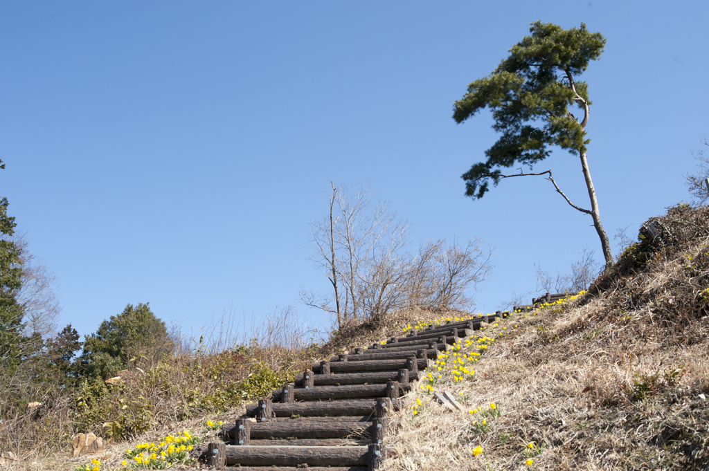 城址公園８