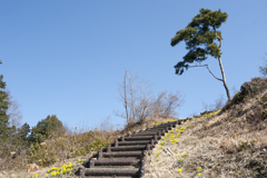 城址公園８