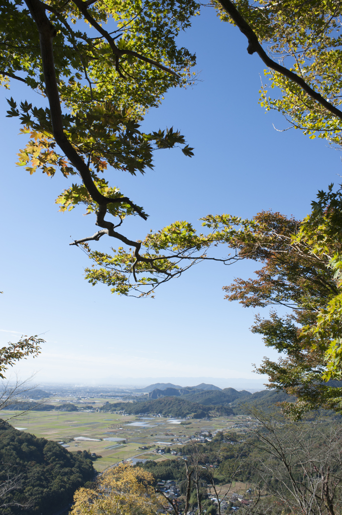 風景６
