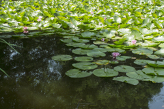 公園８