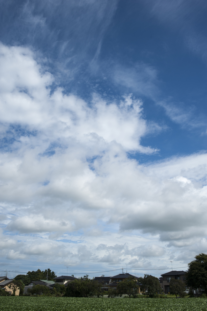 雲１５
