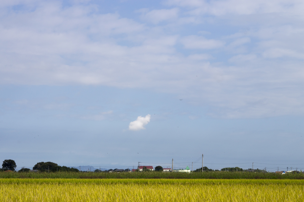 風景７
