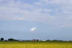 風景７