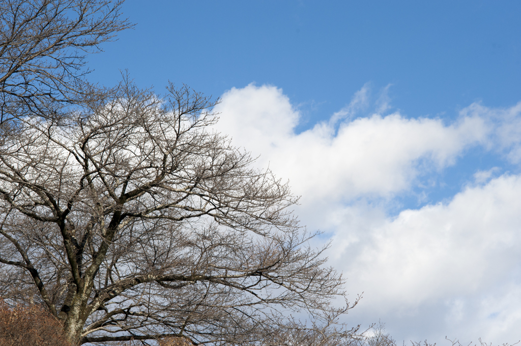 青空５